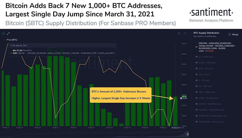 Bitcoin-BTC-Whale-Addresses