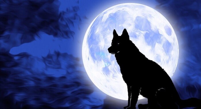 Dogecoin пошёл на снижение, пора возвращаться в биткоин?