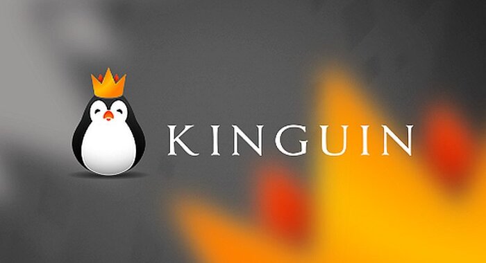Гейминговый гигант Kinguin использует Immutable X для интеграции NFT