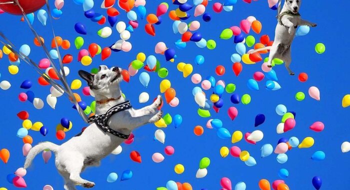 Сможет ли Dogecoin пробить сопротивление на отметке $ 1?