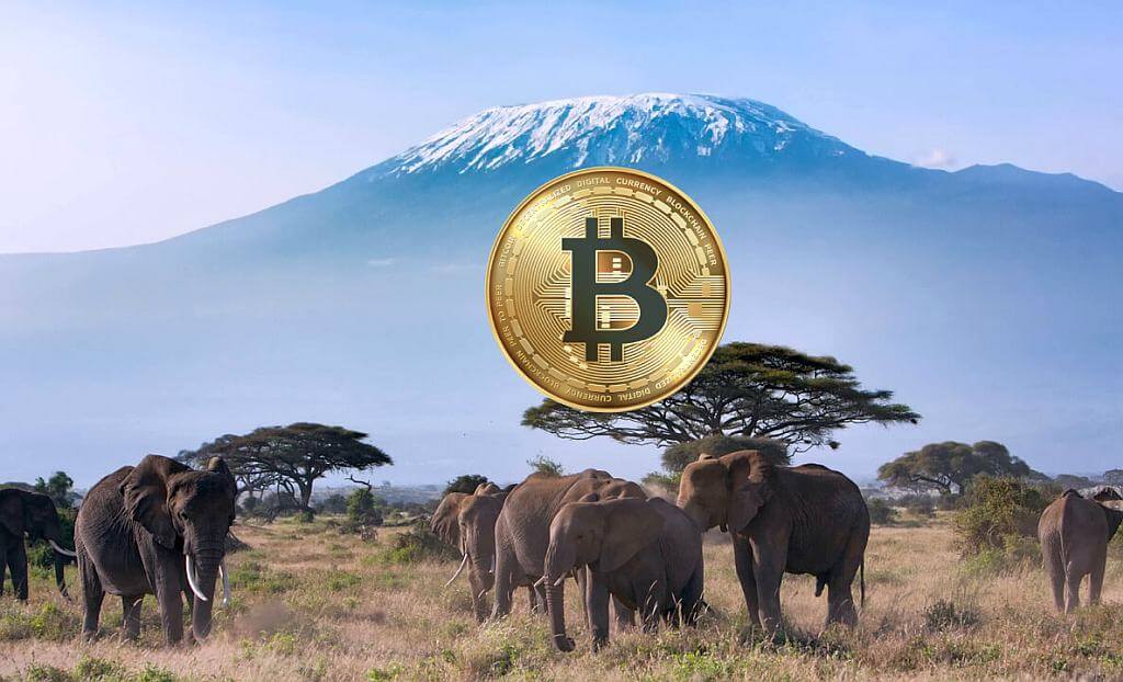 coinmag