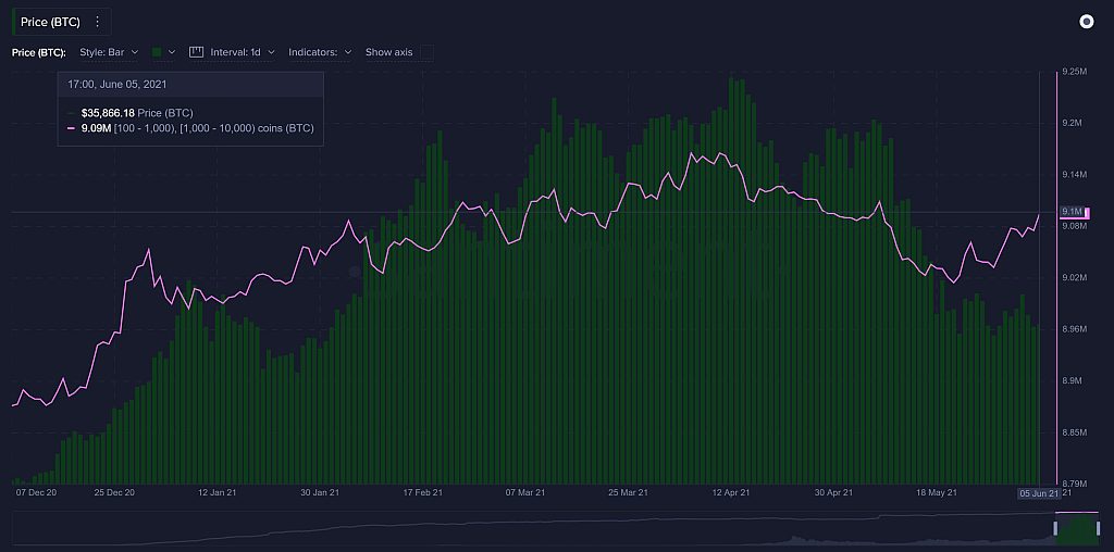 btcwhale