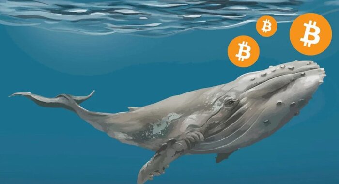 Биткоин-киты выводят с криптобирж большие количества биткоинов