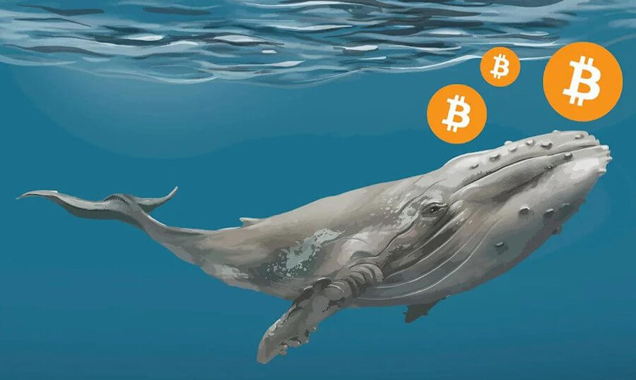 coinmag