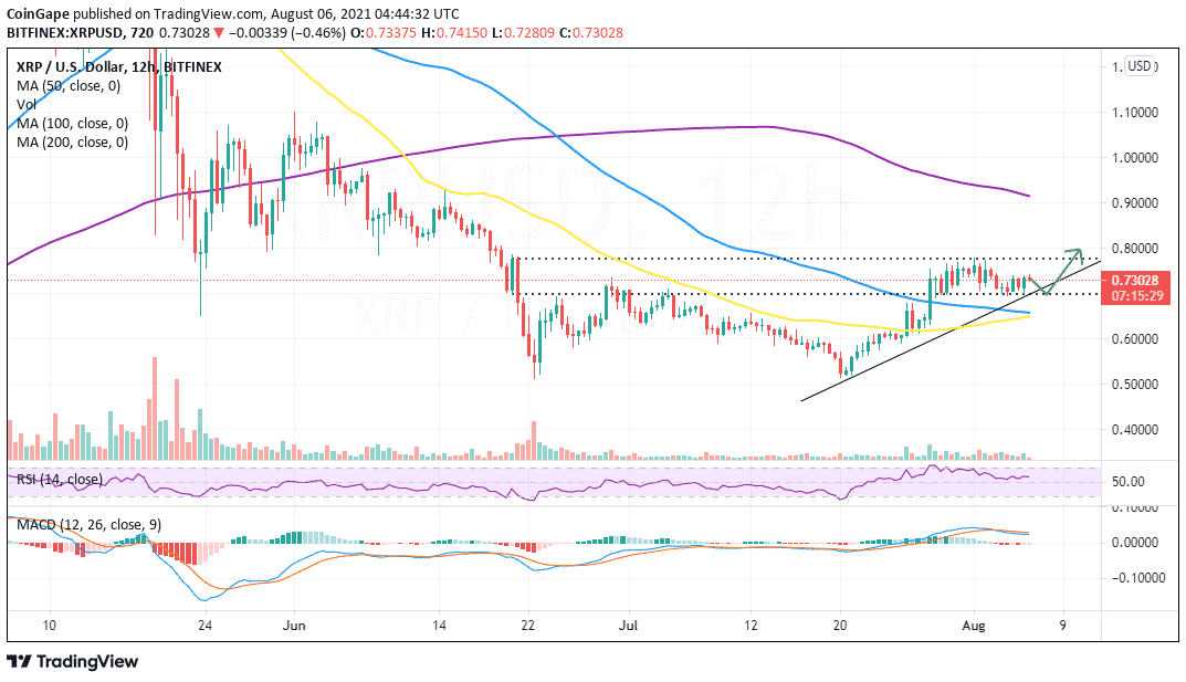 aug6-xrp