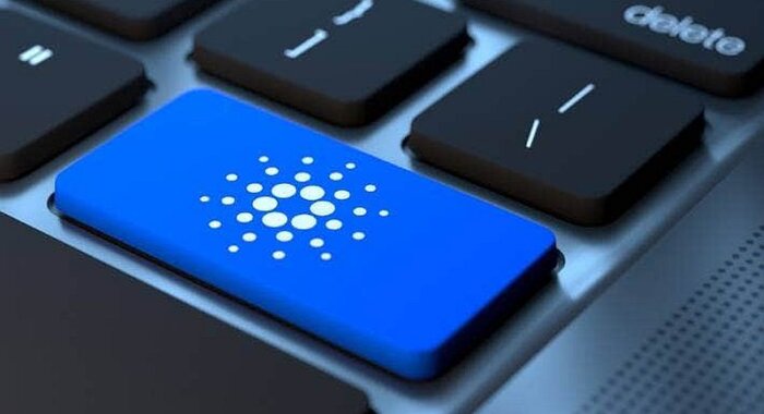 Частота запроса в Google «купить Cardano» достигла трёхмесячного максимума