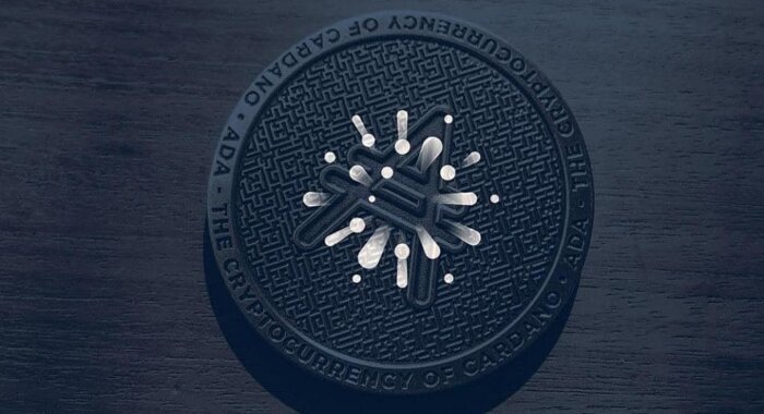 С точностью 86% сообщество CoinMarketCap рассчитало цену ADA на 31 июля