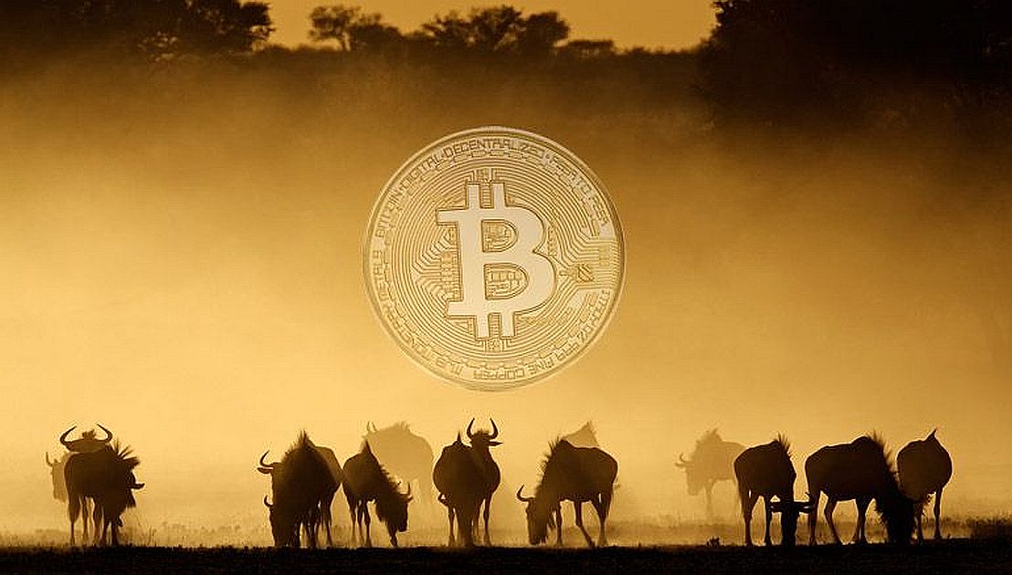 coinmag