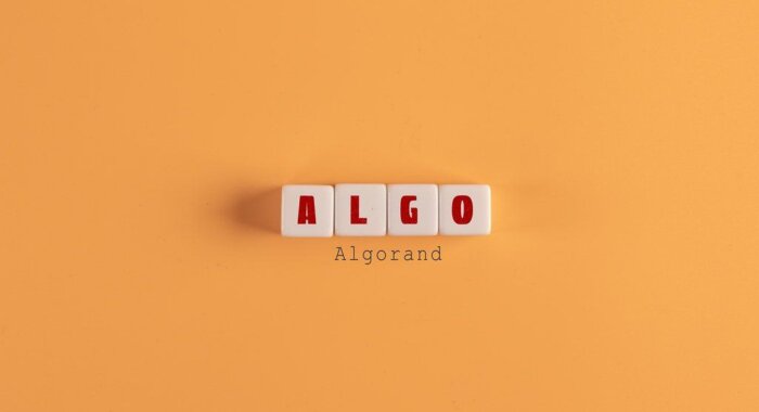 Algorand создала фонд на $ 330 млн, ориентированный на DeFi