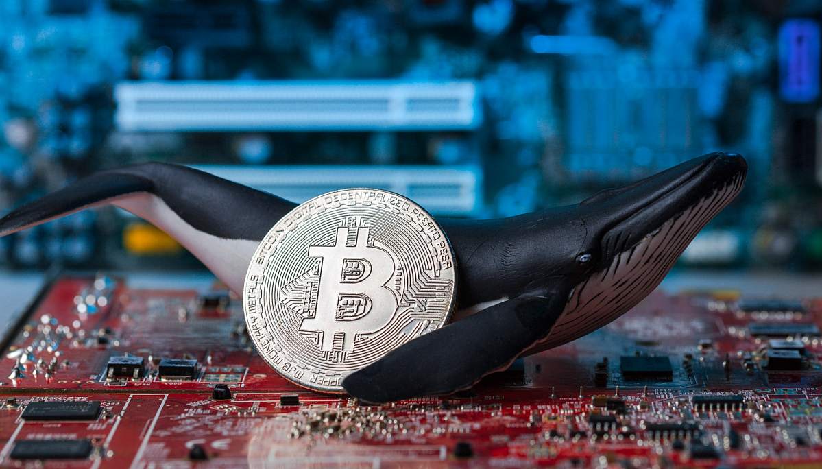 coinmag