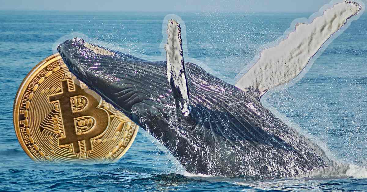 coinmag