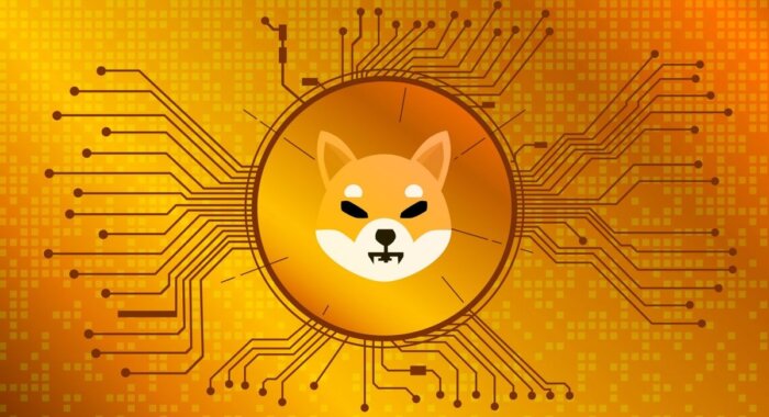 Shiba Inu стремительно поднимается в рейтинге криптовалют. Будет ли спад?