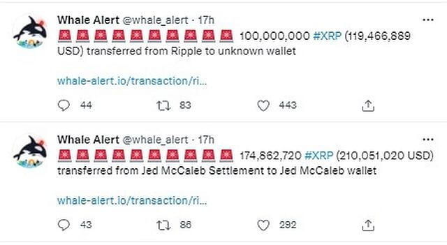 XRP0209