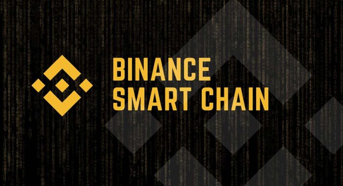 Binance выделила $ 1 млрд для развития экосистемы Binance Smart Chain