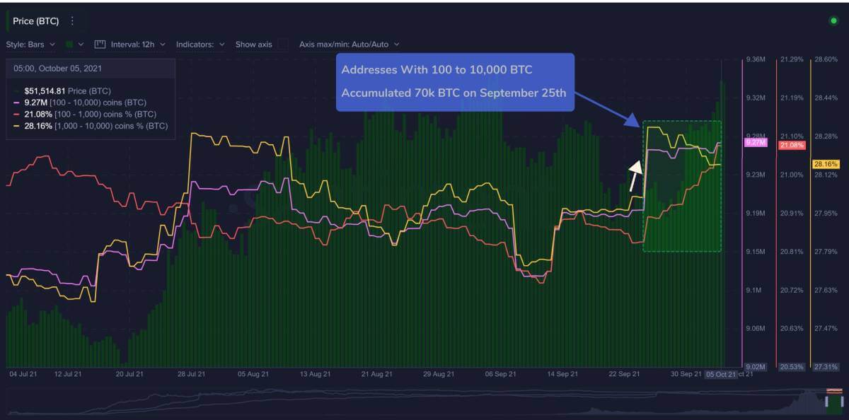 Bitcoin-BTC-Whale-Accumulation