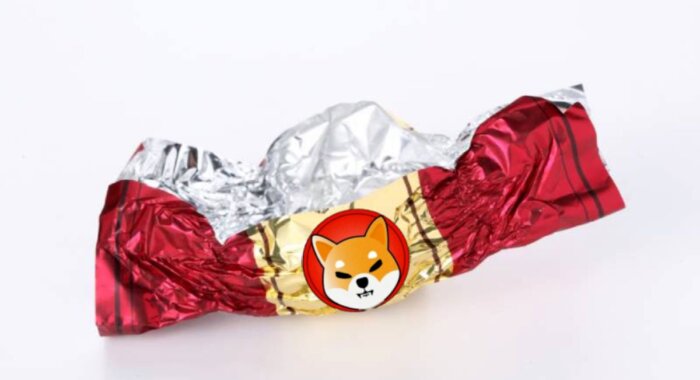 Профессиональный гонщик обнаружил на своём аккаунте Shiba Inu на $181 млн