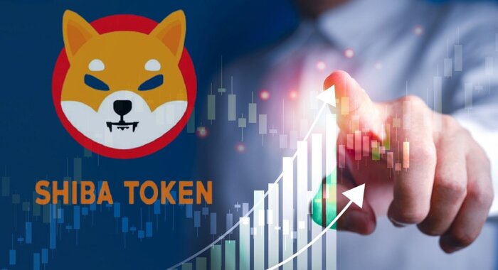 Установление Shiba Inu поддержки на $0,0000271 открывает путь к $0,000037