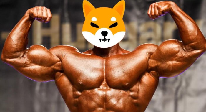 После биткоина и эфира Shiba Inu заняла третье место по популярности