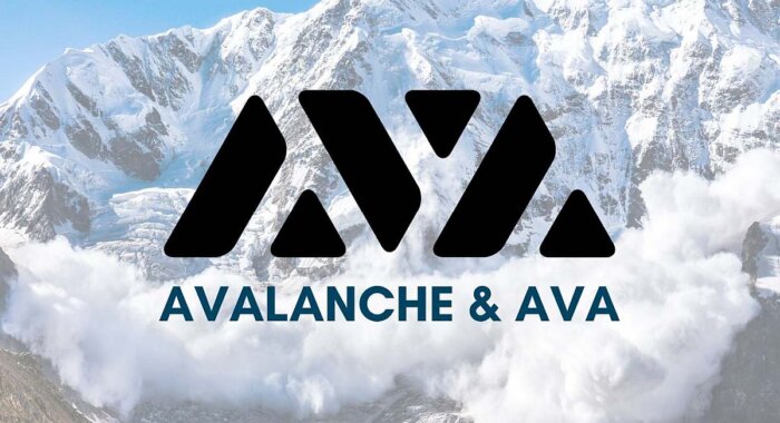 Цена токена Avalanche выросла на 17%, и это связано со стейблкоином USDC
