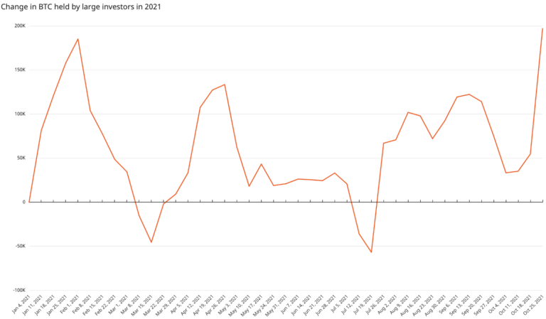 Bitcoin-Whale-Holdings