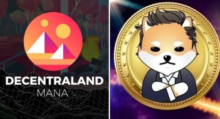 Dogelon Mars оттеснил Decentraland по популярности среди 1000 ETH-китов