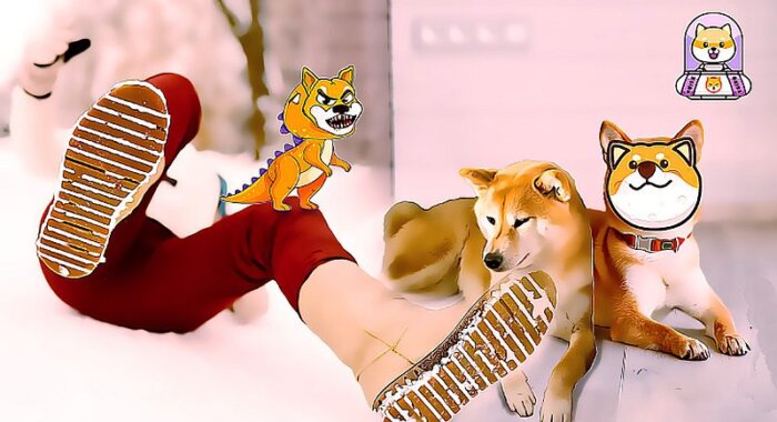 Монеты-подражатели Dogecoin и Shiba Inu пережили мощный и короткий памп