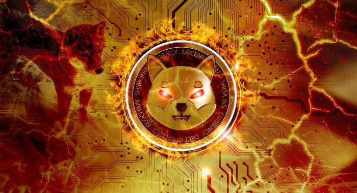 В одной транзакции через SHIB Burn Portal сожжены 26,7 млн Shiba Inu