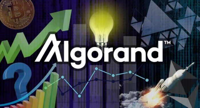Аналитик: это лучшие точки входа в Algorand, Elrond и VeChain