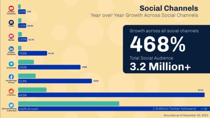 cardano-social-media
