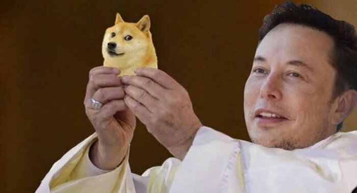 Илон Маск может купить Твиттер и интегрировать платежи в DOGE