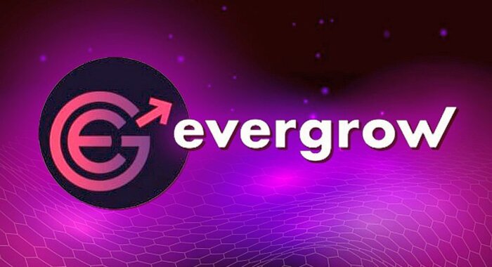 Может ли монета EverGrow Coin стать следующим Shiba Inu?