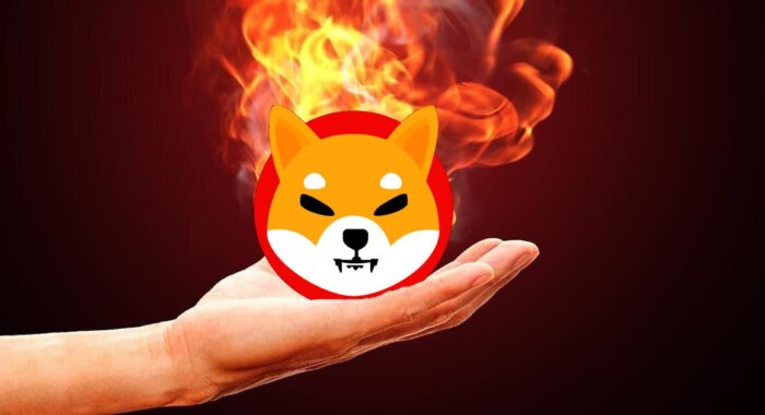 В Shibarium появился предпросмотр механизма сжигания SHIB