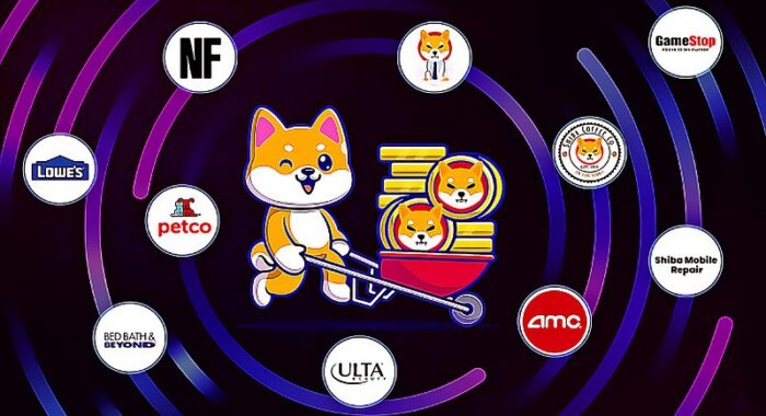 Декабрь стал очень активным периодом принятия Shiba Inu для оплат
