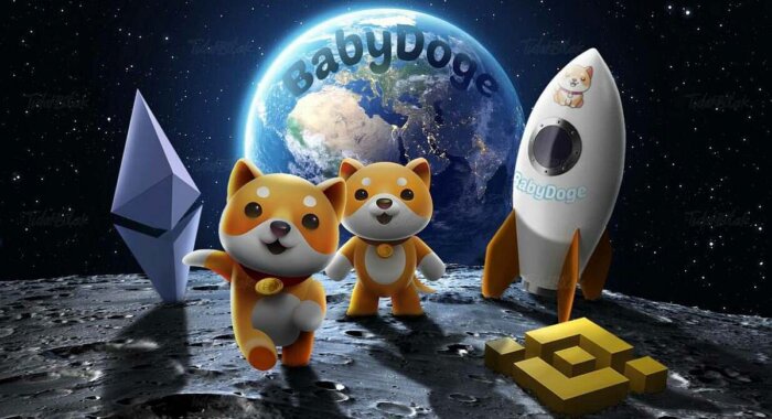 BabyDoge стал новым фаворитом 1000 топовых кошельков BSC