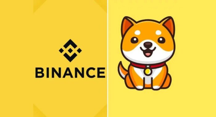 Растущее число владельцев BabyDoge способствует листингу на Binance