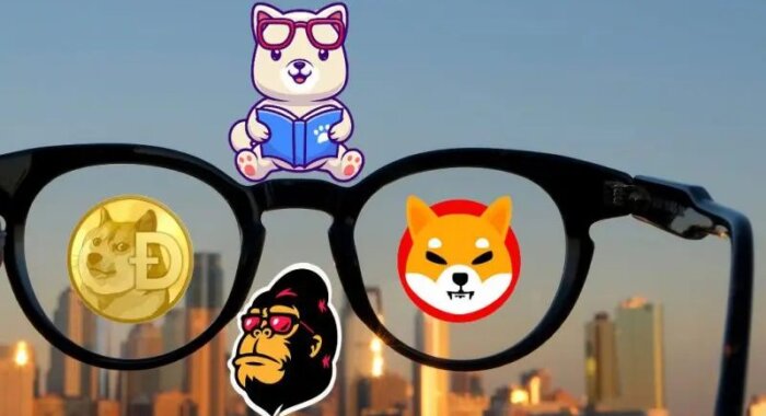 Компания Nerdy Frames интегрировала платежи в Shiba Inu, Dogecoin и Kishu Inu