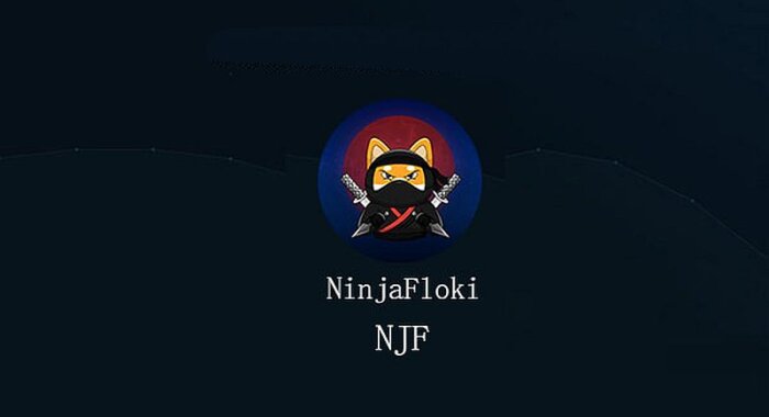 По данным CoinMarketCap, токен NinjaFloki (NJF) вырос на 1125,66%