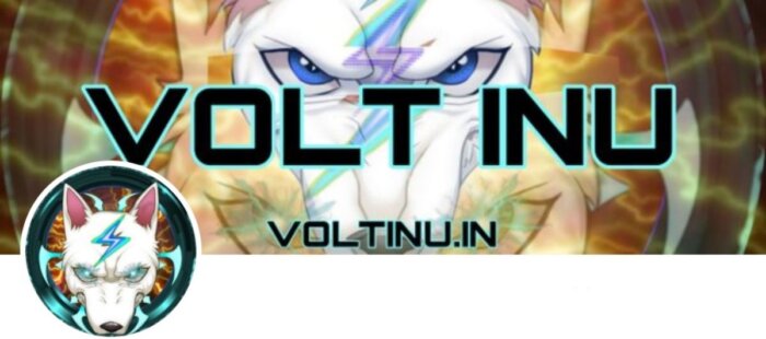 volt-inu-logo