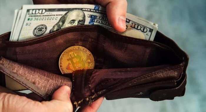 55% держателей криптовалют США хотят получать зарплату в цифровой валюте