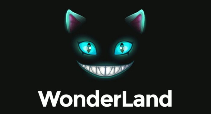 Протокол DeFi Wonderland может завершить работу