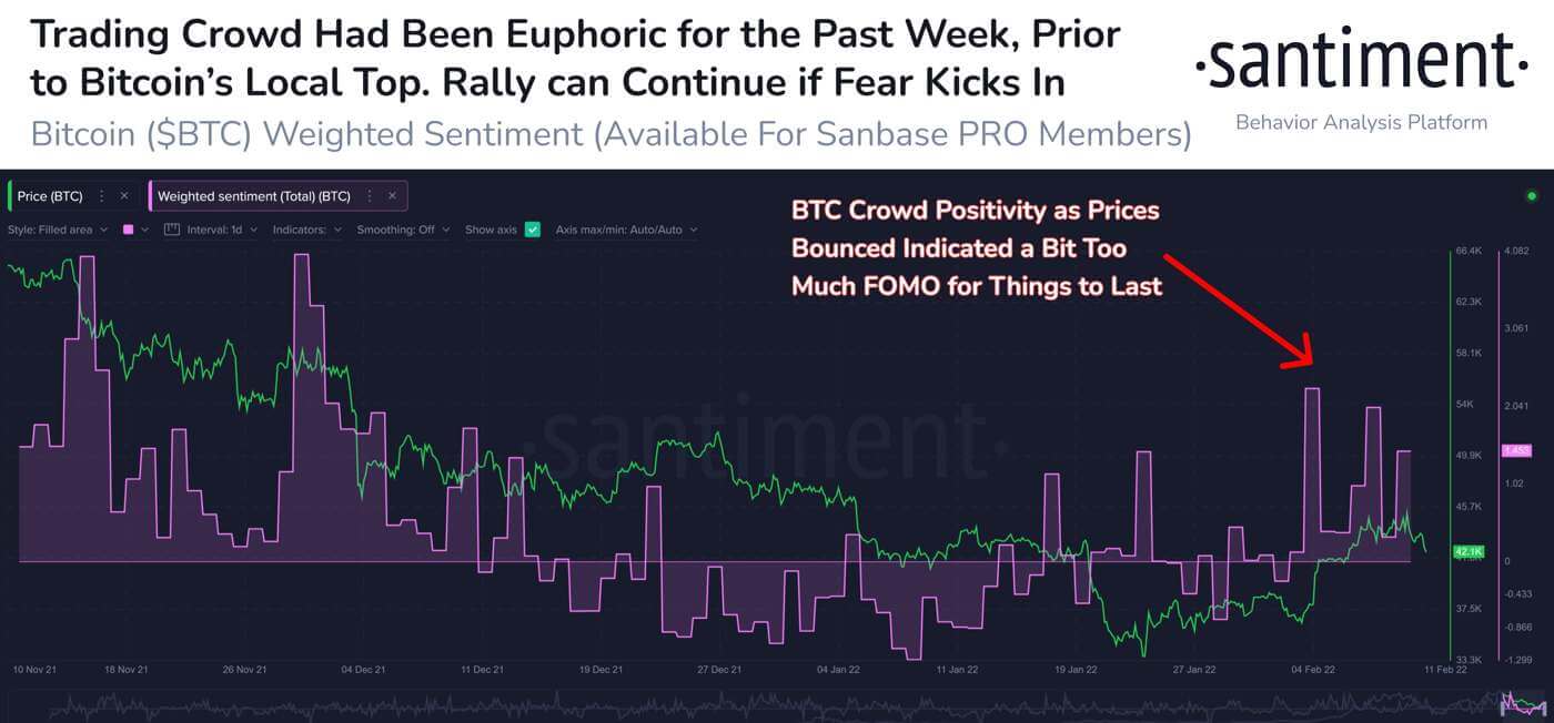 Bitcoin-Crowd-Sentiment
