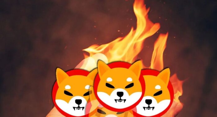 В День святого Валентина сожгут 240 млн токенов Shiba Inu