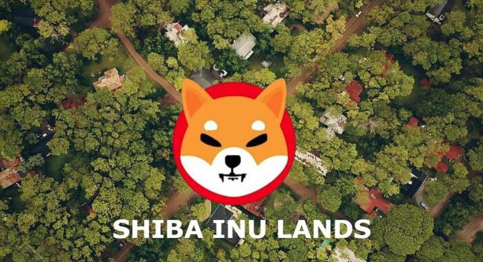 Б. Маркус: разработчики SHIB должны развивать проект, а не продавать земли