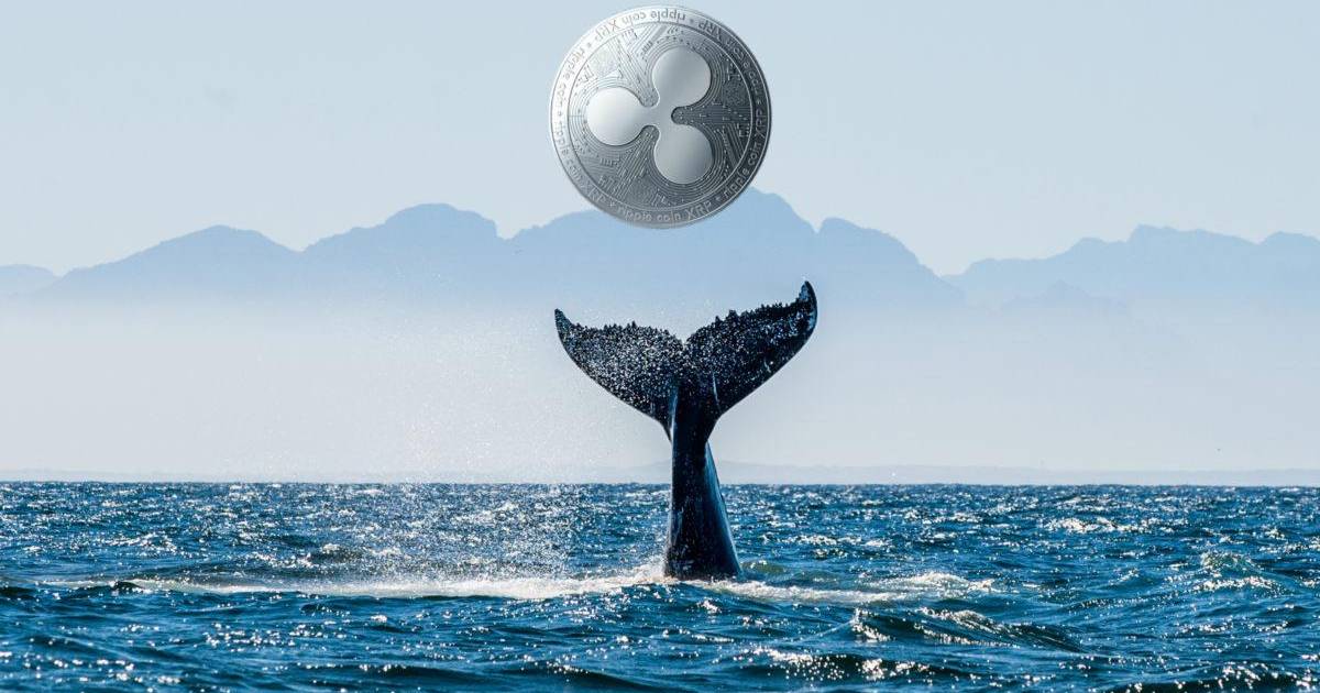 coinmag