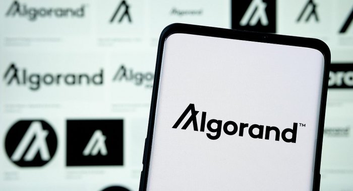 После падения Algorand токен ALGO может вырасти на 60%