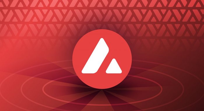 Число новых контрактов в сети Avalanche достигло 6-месячного максимума