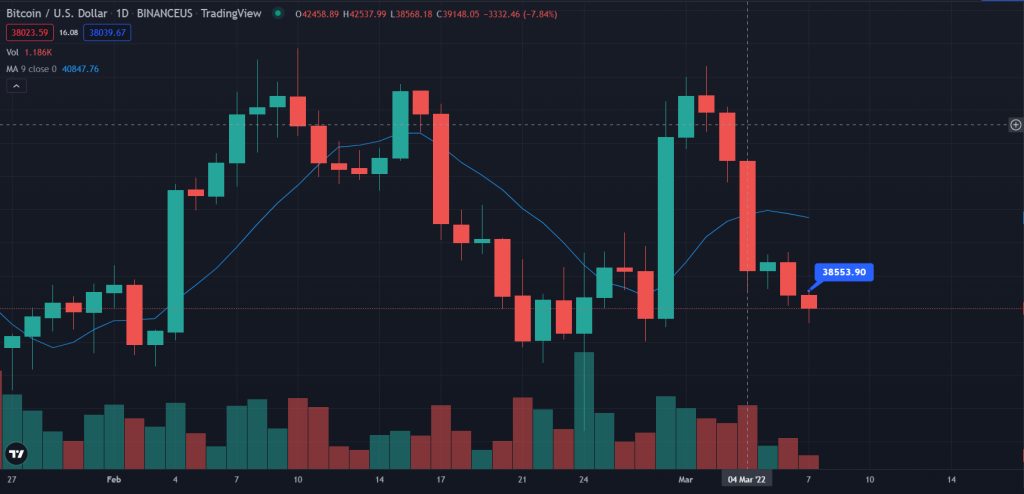 btc-1024x494