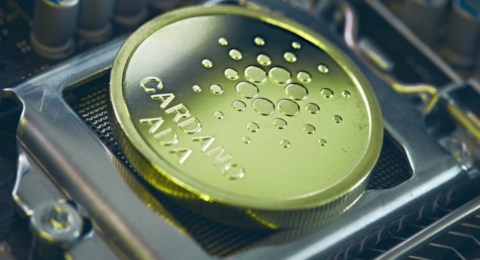 Coinbase ввела вознаграждения за стейкинг Cardano (ADA)