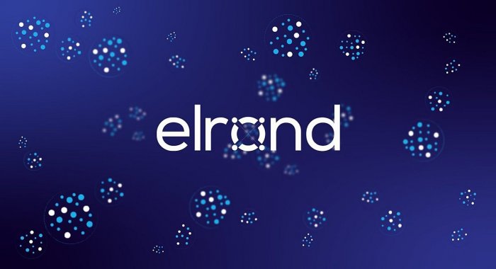 Elrond Network приобрела румынскую платёжную Twispay