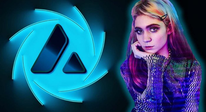 Певица Граймс анонсировала книгу «Межгалактическая детскаяметавселенная»